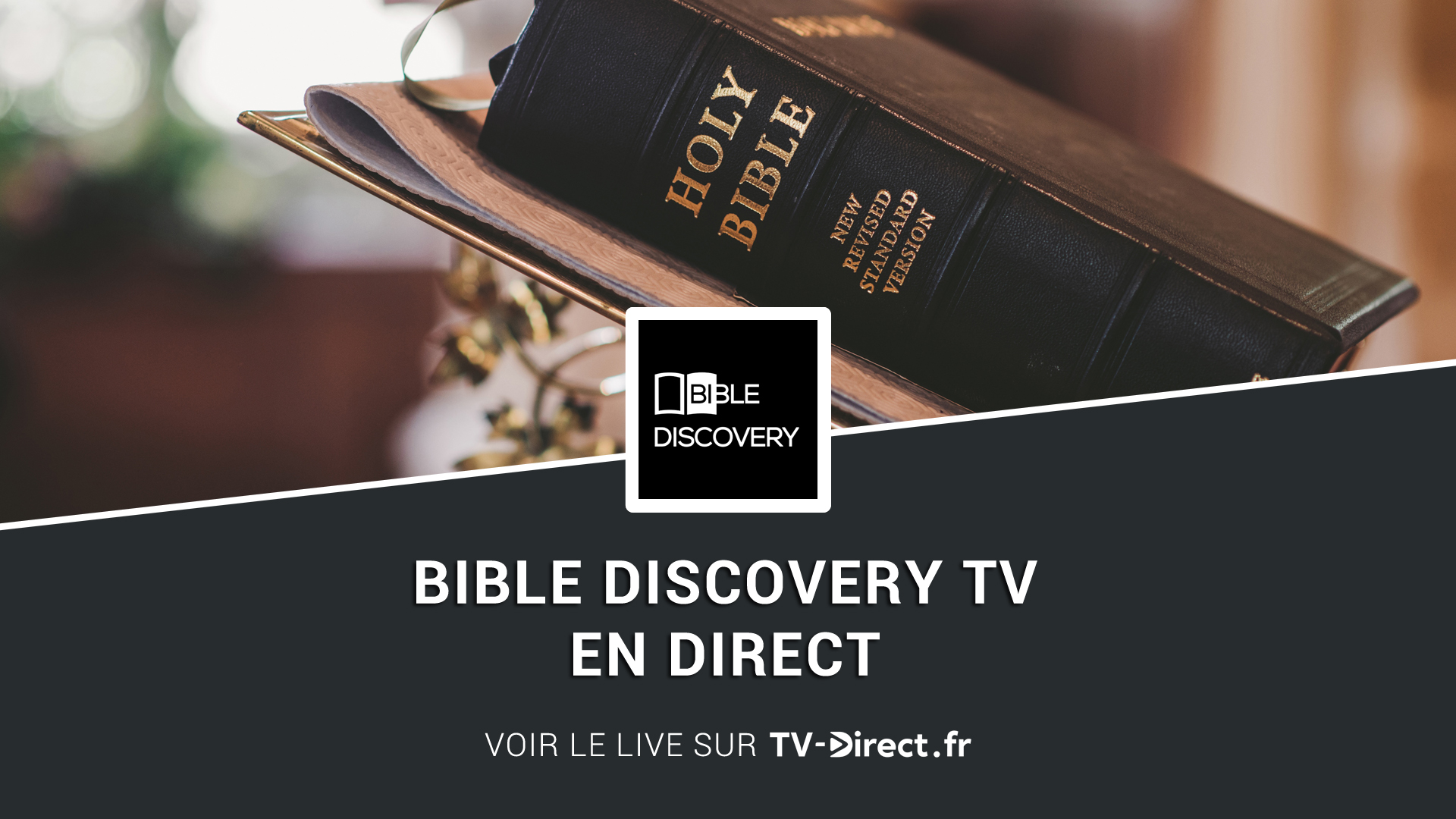bible discovery tv ron